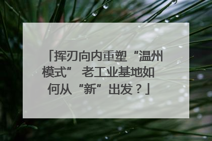 挥刃向内重塑“温州模式” 老工业基地如何从“新”出发？