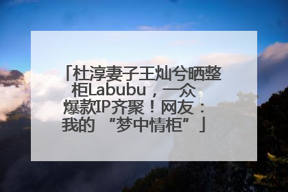 杜淳妻子王灿兮晒整柜Labubu，一众爆款IP齐聚！网友：我的 “梦中情柜”