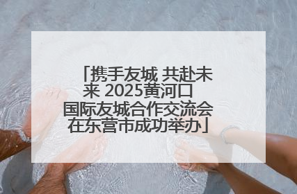 携手友城 共赴未来 2025黄河口国际友城合作交流会在东营市成功举办