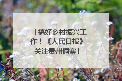搞好乡村振兴工作！《人民日报》关注贵州侗寨
