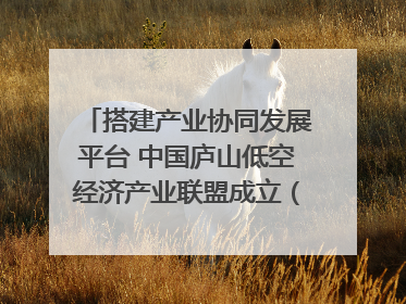 搭建产业协同发展平台 中国庐山低空经济产业联盟成立（组图｜视频）