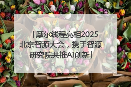 摩尔线程亮相2025北京智源大会，携手智源研究院共推AI创新