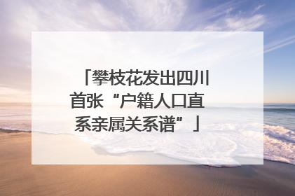 攀枝花发出四川首张“户籍人口直系亲属关系谱”