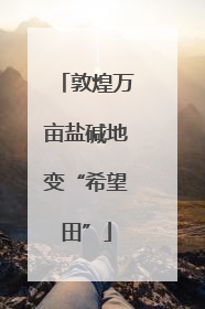 敦煌万亩盐碱地变“希望田”