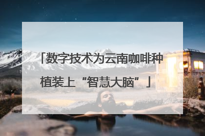 数字技术为云南咖啡种植装上“智慧大脑”