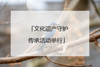 文化遗产守护传承活动举行