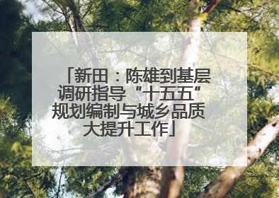 新田：陈雄到基层调研指导“十五五”规划编制与城乡品质大提升工作