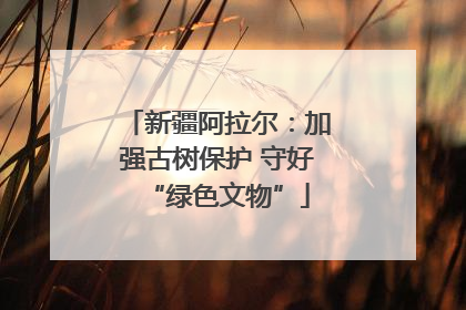 新疆阿拉尔：加强古树保护 守好“绿色文物”