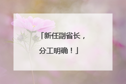 新任副省长，分工明确！