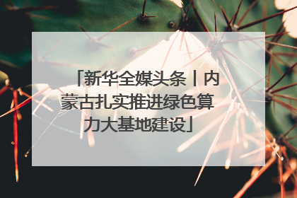 新华全媒头条丨内蒙古扎实推进绿色算力大基地建设