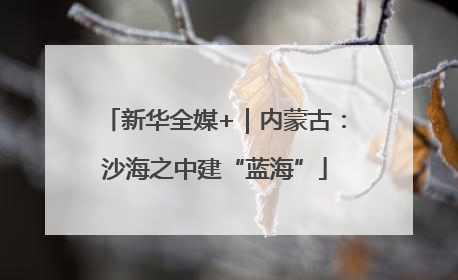 新华全媒+｜内蒙古：沙海之中建“蓝海”