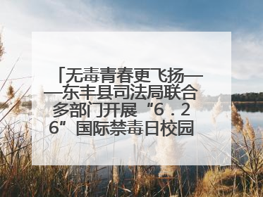 无毒青春更飞扬——东丰县司法局联合多部门开展“6．26”国际禁毒日校园宣讲活动