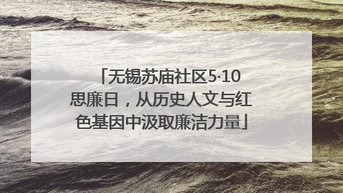 无锡苏庙社区5·10思廉日，从历史人文与红色基因中汲取廉洁力量