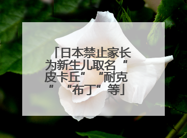 日本禁止家长为新生儿取名“皮卡丘”“耐克”“布丁”等