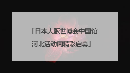 日本大阪世博会中国馆河北活动周精彩启幕