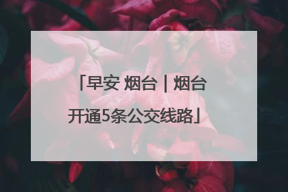 早安 烟台｜烟台开通5条公交线路