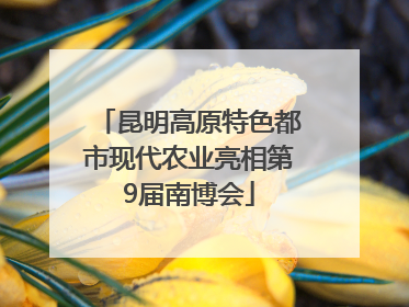 昆明高原特色都市现代农业亮相第9届南博会