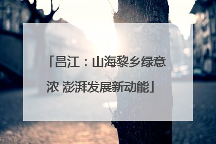 昌江：山海黎乡绿意浓 澎湃发展新动能