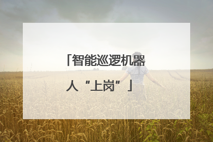 智能巡逻机器人“上岗”