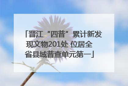 晋江“四普”累计新发现文物201处 位居全省县域普查单元第一
