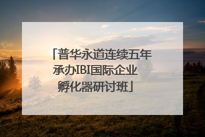 普华永道连续五年承办IBI国际企业孵化器研讨班