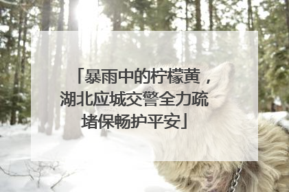 暴雨中的柠檬黄，湖北应城交警全力疏堵保畅护平安