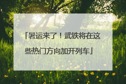 暑运来了！武铁将在这些热门方向加开列车