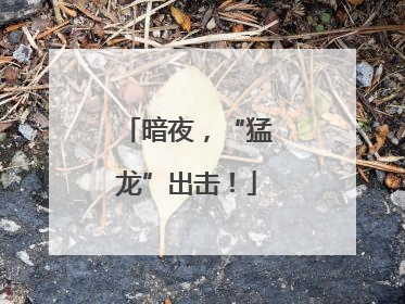暗夜，“猛龙”出击！