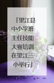 望江县中小学班主任技能大赛培训在望江三小举行