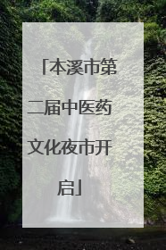 本溪市第二届中医药文化夜市开启
