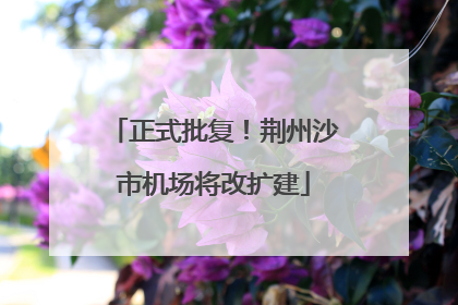 正式批复！荆州沙市机场将改扩建