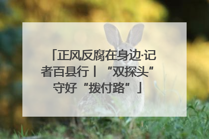 正风反腐在身边·记者百县行丨“双探头”守好“拨付路”