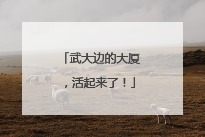武大边的大厦，活起来了！