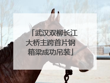 武汉双柳长江大桥主跨首片钢箱梁成功吊装