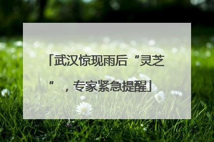 武汉惊现雨后“灵芝”，专家紧急提醒