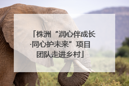 株洲“润心伴成长·同心护未来”项目团队走进乡村