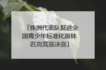 株洲代表队挺进全国青少年标准化奥林匹克竞赛决赛