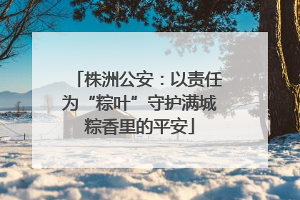 株洲公安：以责任为“粽叶”守护满城粽香里的平安