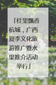 桂果飘香杭城，广西夏季文化旅游推广暨水果推介活动举行