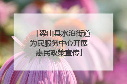 梁山县水泊街道为民服务中心开展惠民政策宣传