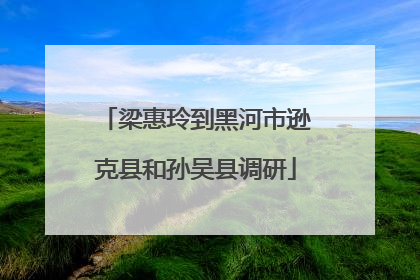 梁惠玲到黑河市逊克县和孙吴县调研