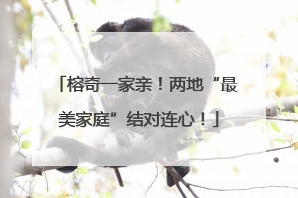 榕奇一家亲！两地“最美家庭”结对连心！
