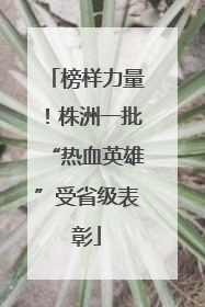 榜样力量！株洲一批“热血英雄”受省级表彰