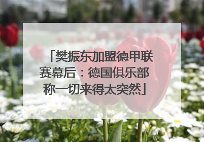 樊振东加盟德甲联赛幕后：德国俱乐部称一切来得太突然