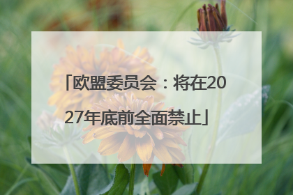 欧盟委员会：将在2027年底前全面禁止