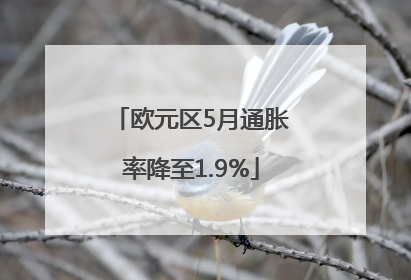 欧元区5月通胀率降至1.9%