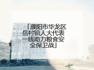 濮阳市华龙区岳村镇人大代表一线助力粮食安全保卫战