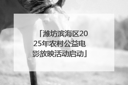 潍坊滨海区2025年农村公益电影放映活动启动