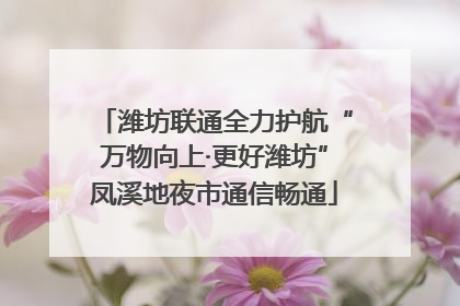 潍坊联通全力护航“万物向上·更好潍坊”凤溪地夜市通信畅通
