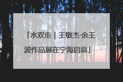 水双重｜王敏杰·余王波作品展在宁海启幕